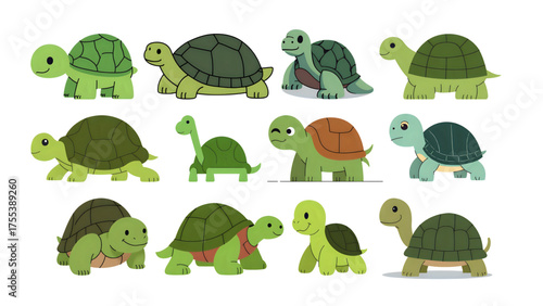 set of funny turtle