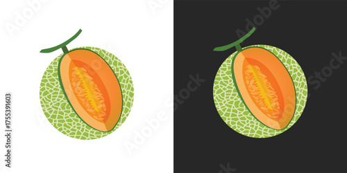 Cantaloupe melon, fruit vector, Fresh green Cantaloupe Melon fruit and pieces. Sweet organic melons for juice, smoothie or vitamin healthy food. Vector icon illustration isolated 