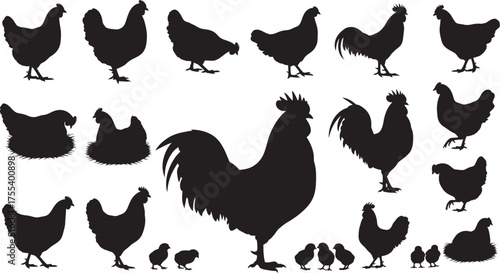 Diverse chicken, rooster, and chick silhouettes - rustic farm animal graphics