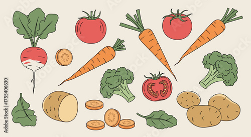 A collection of fresh vegetables including carrots tomatoes radishes and potatoes.