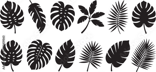 Black and White Silhouette Illustration Featuring Various Tropical Leaves, Including Monstera and Palm