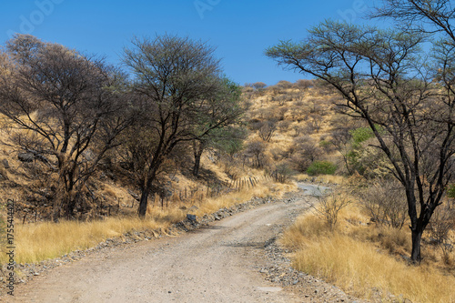 Route en graviers dans la savane en Afrique australe