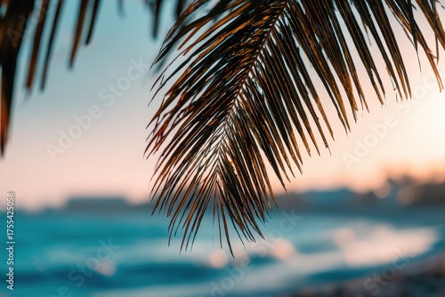 Tranquil Sunset Over the Ocean with Palm Leaf in the Foreground