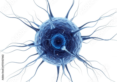 Blue neuron cell with branching dendrites isolated on a transparent background