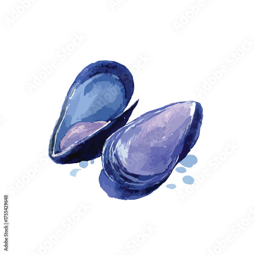Watercolor Mussels Illustration Fresh Seafood Delicacy.
