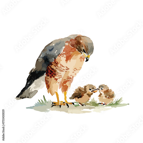 Nurturing Bird of Prey Feeding Chicks Watercolor Illustration.