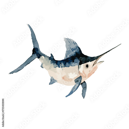 Watercolor Marlin Fish Illustration.