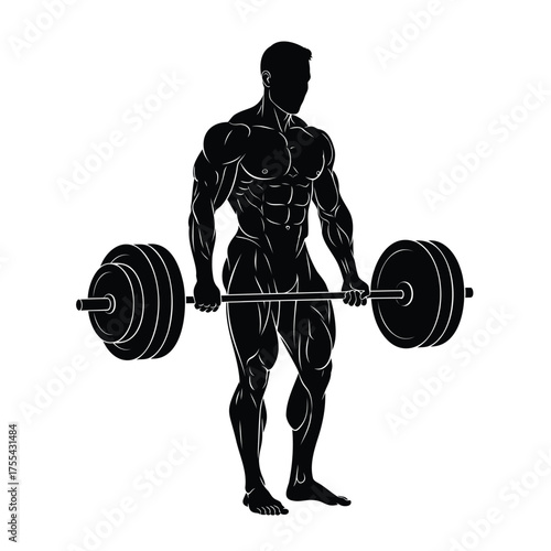 Silhouette of a muscular man holding a barbell in a deadlift pose male bodybuilder