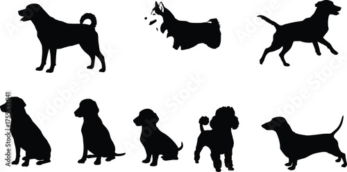 Dog silhouettes collection vector, different dog breed shapes black outline illustration, domestic pet animals standing and sitting isolated on white background design
