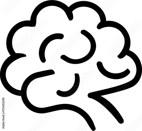 Brain