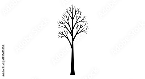 Striking silhouette of a bare tree against a stark white background, evoking winter's stark beauty.