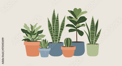 Collection of Various Potted Houseplants.