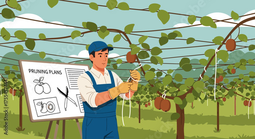 Illustrated kiwifruit farmer working at orchard, pruning with plan to cultivation