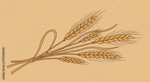Bunch of Wheat Stalks Tied with Twine on Beige Background.