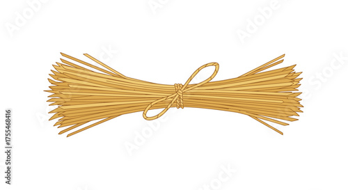 Bundle of uncooked spaghetti pasta tied with twine.