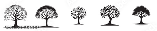 Tree vector icon, black tree, tree sheet icon collection 