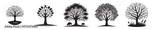 Collection of tree silhouettes, tree sheet icons, tree vector icons, black trees.