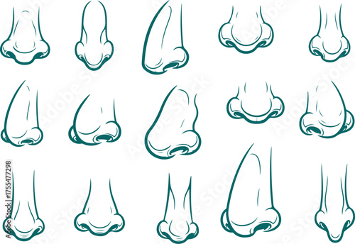 Vector art of set of various nose illustrations, showing different shapes and angles