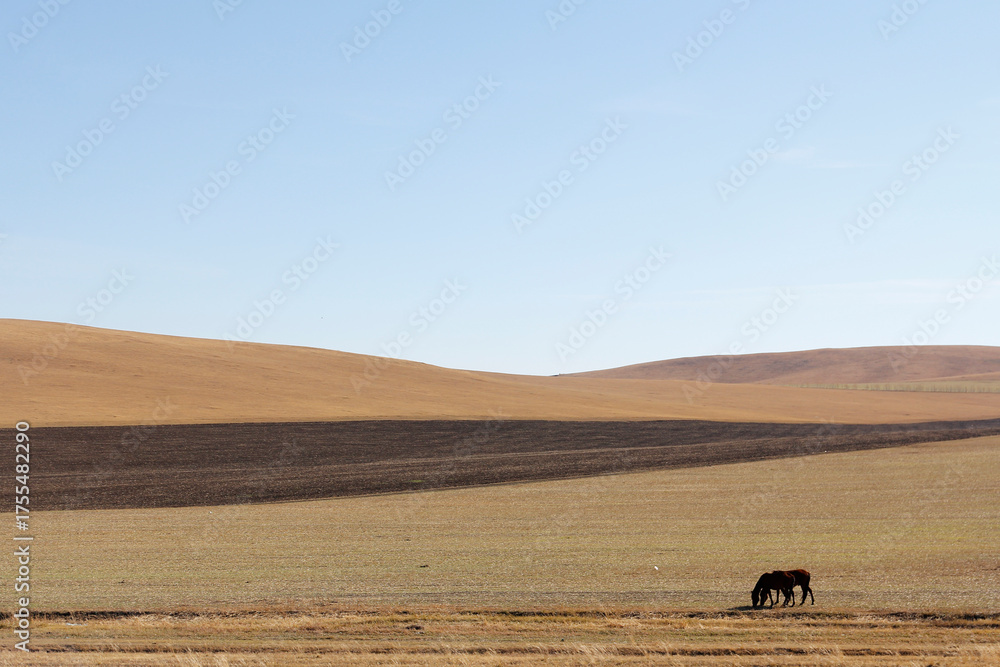 Obraz premium Vast open plain under clear blue sky with distant landscape