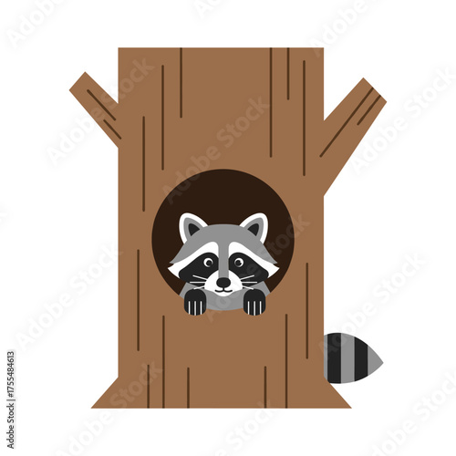 Cute raccoon peeking out of hollow tree trunk with ringed tail vector
