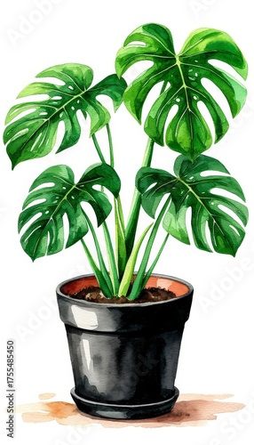 Monstera deliciosa in a black pot rendered in vibrant watercolor art with lush green leaves and a subtle sticker style border, isolated on a clean white background for home decor and wall art