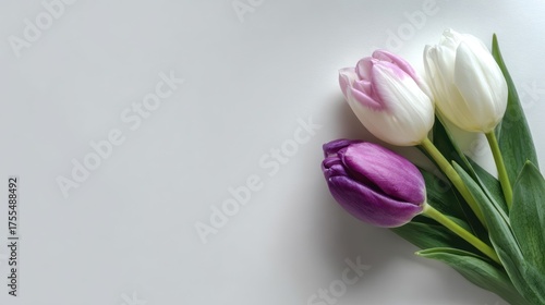 Colorful Tulips Arrangement White Pink Purple Green Fresh Spring Decor