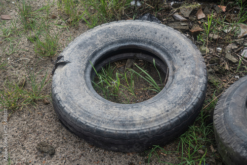 Worn and discarded scrap tires left to decay in an overgrown natural area.