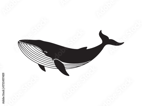 whale