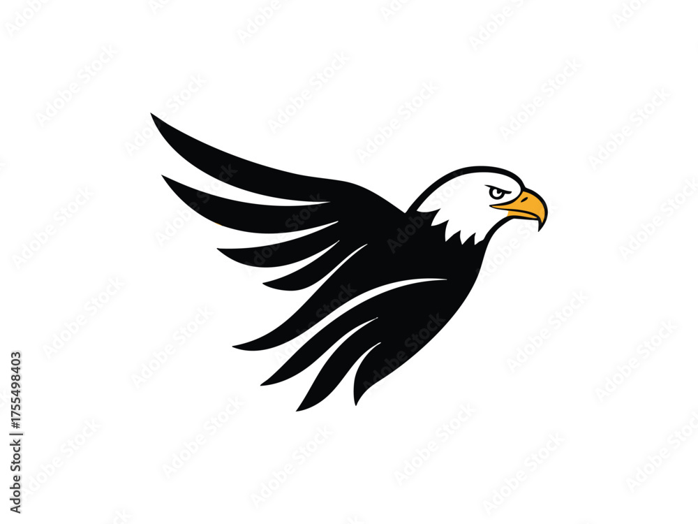 Fototapeta premium bald eagle 