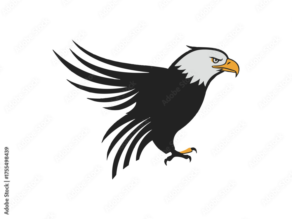 Obraz premium bald eagle 