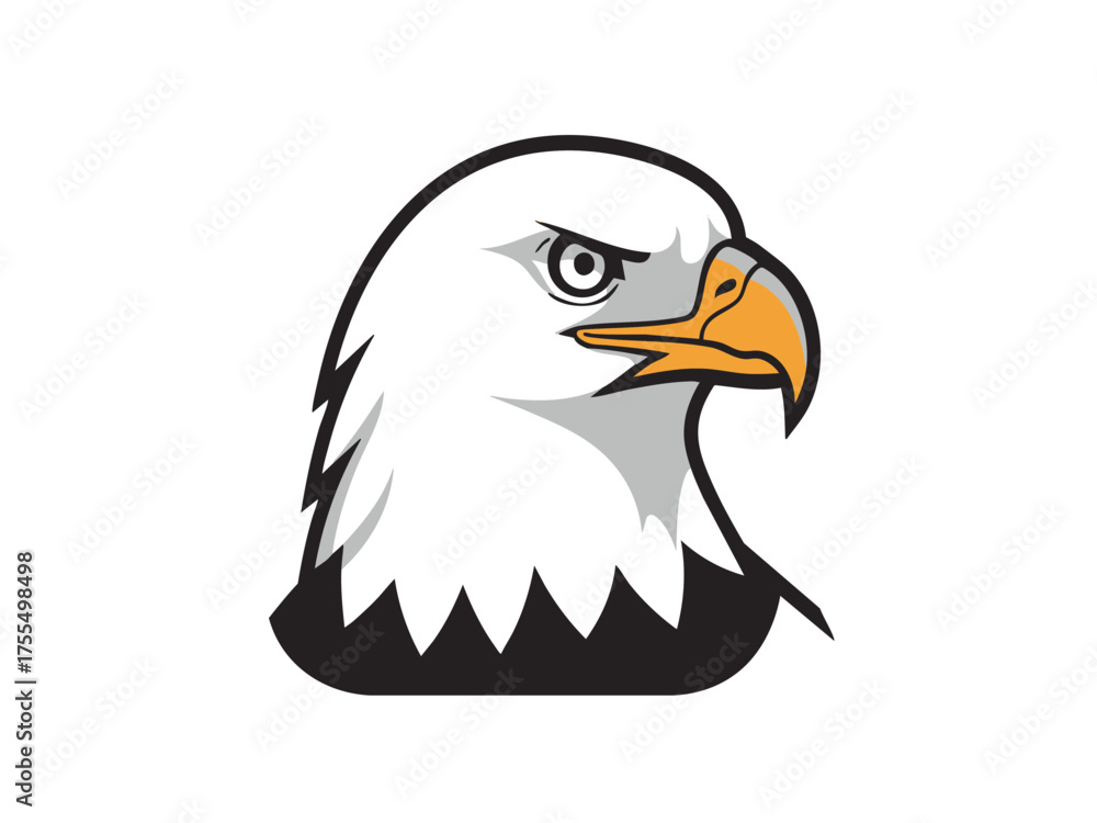 Obraz premium bald eagle 