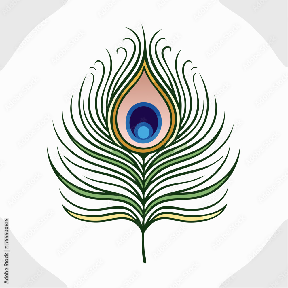 Obraz premium Elegant vector illustration of a peacock feather on white background