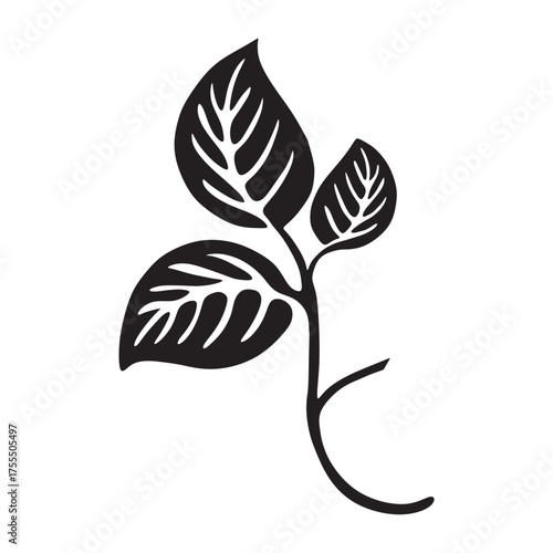 Natural Leaf Silhouette 