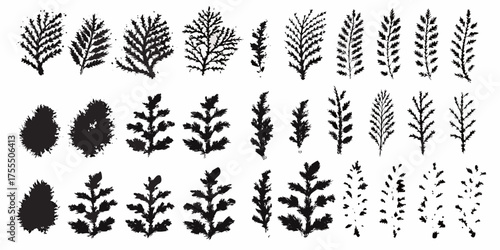 Collection of black silhouette sprigs and leaves with textured brush strokes on white background