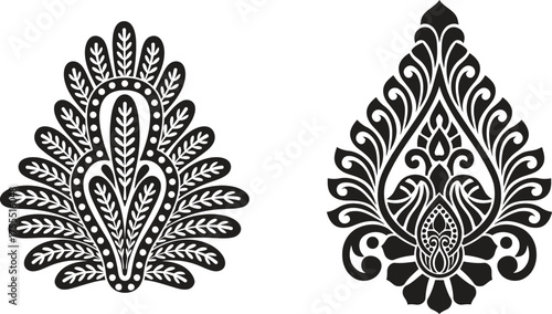 Graceful paisley motifs in a modern black white graphic design evoking elegance tradition with high