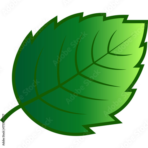 Green Tree Leaf Nature Element