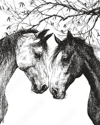 Detailed hand drawn sketch of two horses facing each other under branches. Black elegant line art illustration.