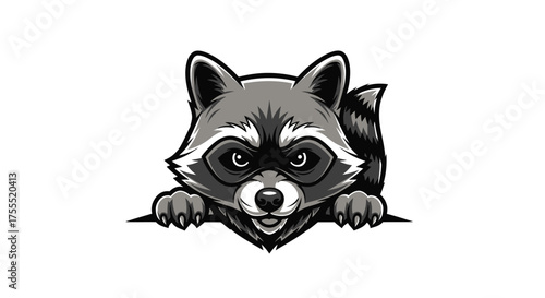 Cartoon raccoon peering over an edge with gray fur and a black mask on a white background design vector