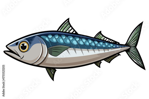 Mackerel Fish Isolated on Transparent Background — Detailed Marine Seafood Illustration.