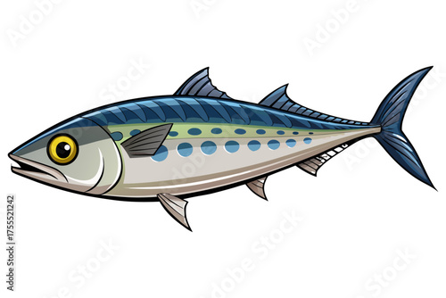 Mackerel Fish Isolated on Transparent Background — Detailed Marine Seafood Illustration.