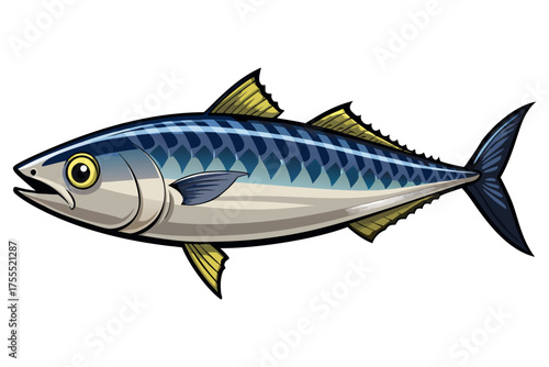 Mackerel Fish Isolated on Transparent Background — Detailed Marine Seafood Illustration.