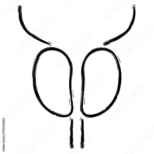 prostatitis icon, brush strokes, vector illustration on white background.