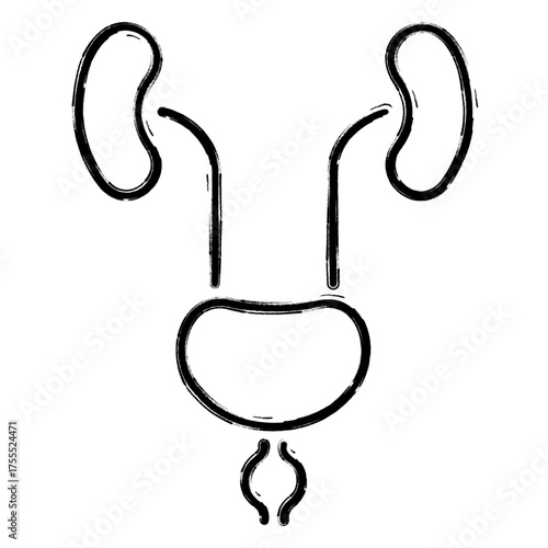 prostatitis icon, brush strokes, vector illustration on white background.