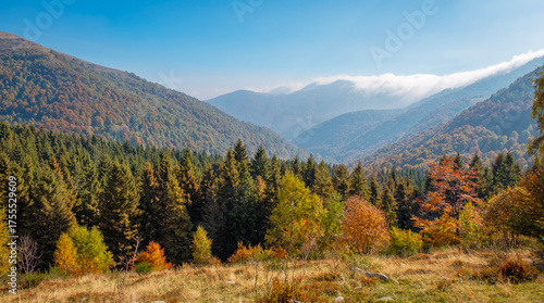 Fall season panorama with foliage of Valdilana region (Piedmont, Northern Italy). This area is a famous nature reserve, full of trekking paths.