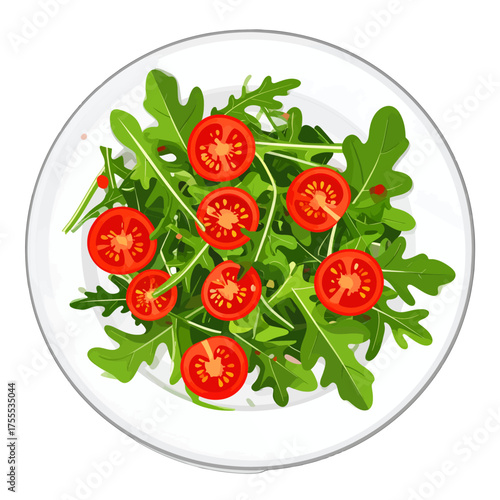 Top Down View of Fresh Arugula Salad with Sliced Tomatoes on White Plate in Bright Studio Lighting with Green and Red Vibrant Colors Simple Background