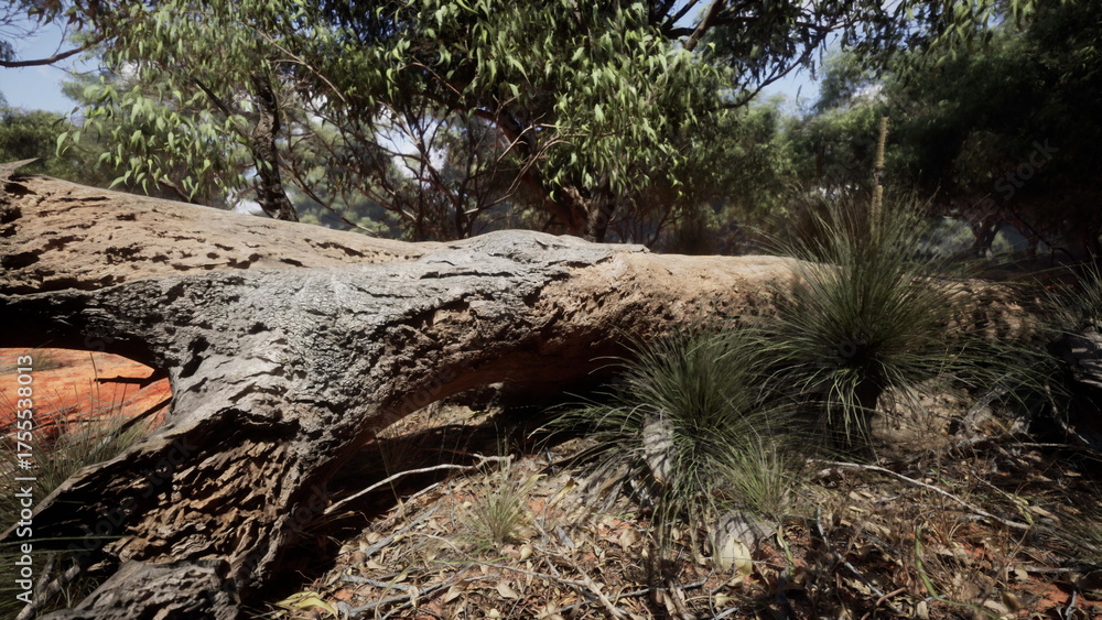 Obraz premium Sunlight filters through the green leaves as a large fallen tree lies on the forest floor. Grass and small plants grow around it, creating a peaceful scene in a serene natural setting.