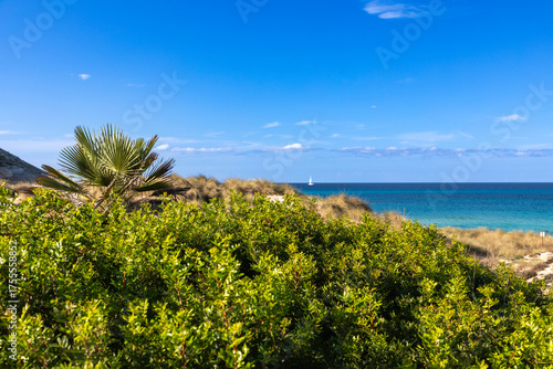 Naturschutzgebiet in den Dünen von Cala Mesquida, Mallorca, Spanien