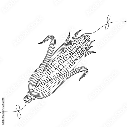 A detailed line art illustration of a ripe ear of corn tied with string.