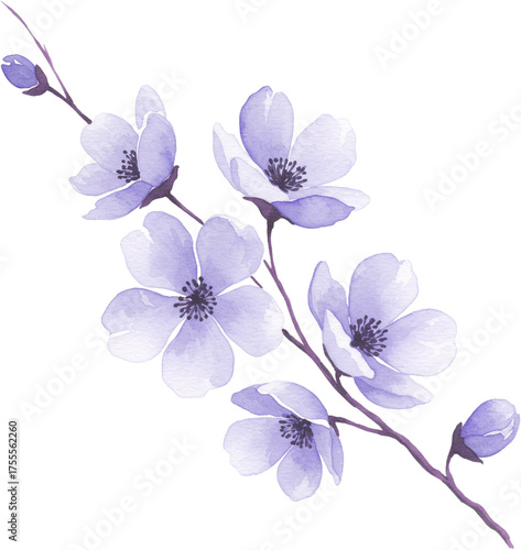 Watercolor Purple Flowers Branch