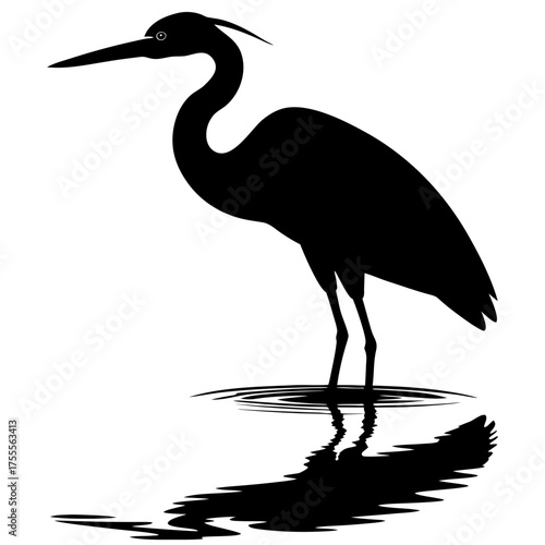 Silhouette of a heron standing in water with reflection